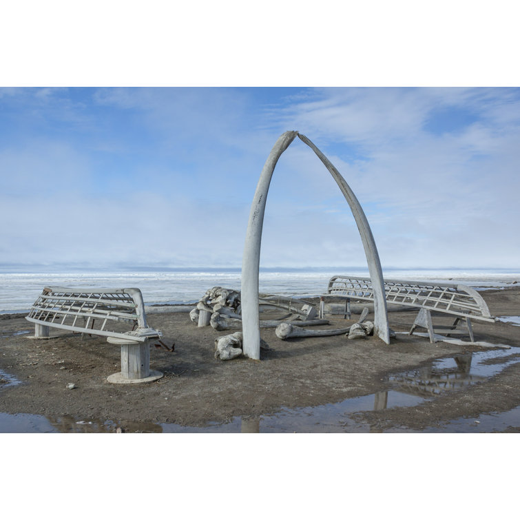 Ebern Designs Whale Bone Arch In Barrow Alaska On Canvas by